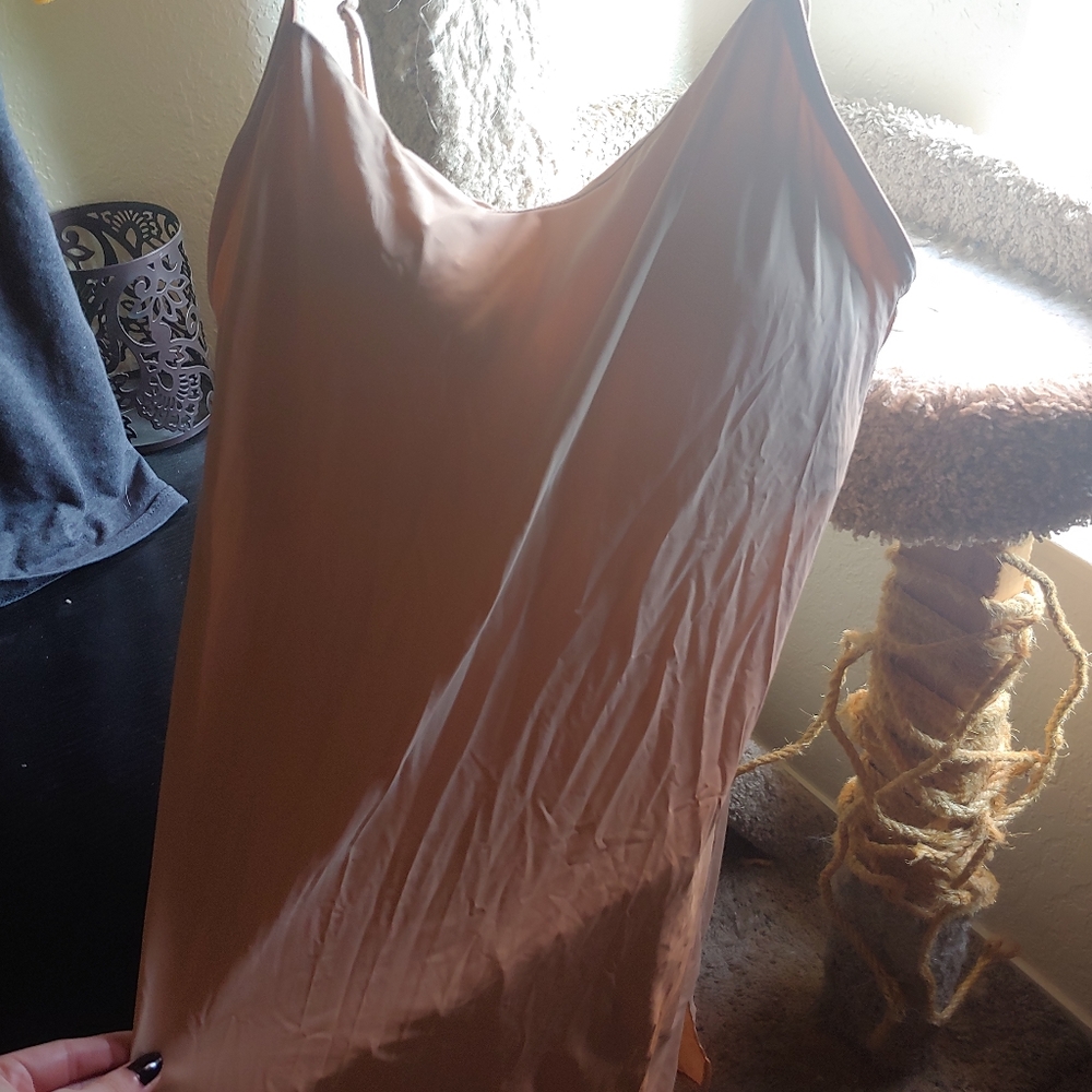 Jockey Lace Chemise Beige